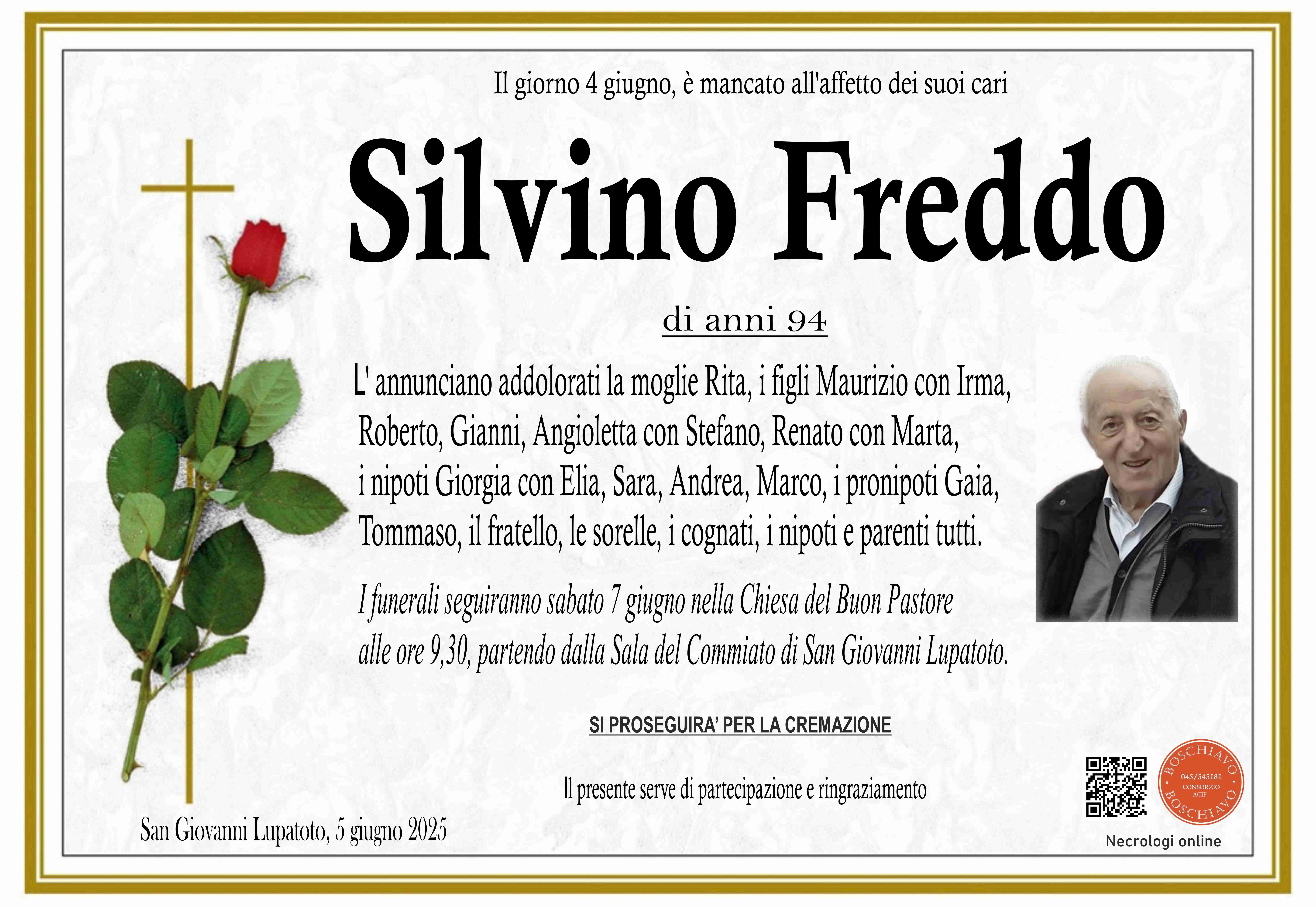 Freddo Silvino